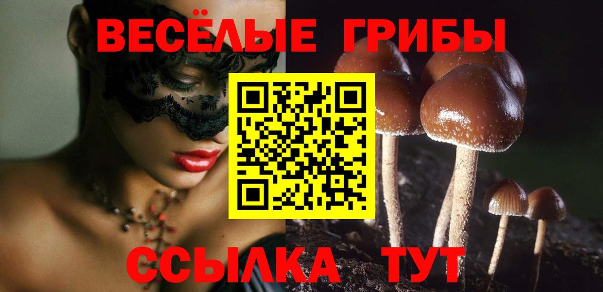 Псилоцибиновые грибы Psilocybine cubensis  Вход с VPN  купить наркотики цена  Черняховск  Галлюциногенные грибы Psilocybe 