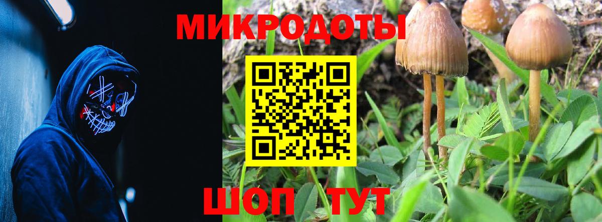 Псилоцибиновые грибы MAGIC MUSHROOMS Черняховск